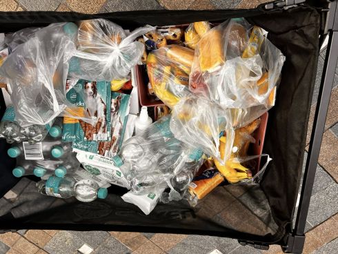 Verteilung in der Dortmunder Innenstadt