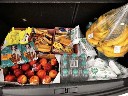 Verteilung in der Dortmunder Innenstadt