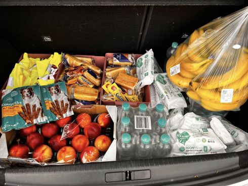 Verteilung in der Dortmunder Innenstadt